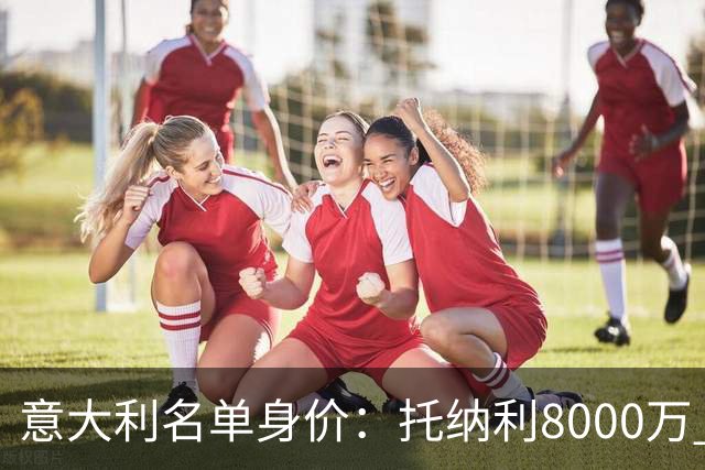 意大利名单身价：托纳利8000万 巴斯托尼6500万 仅10人超过3千万